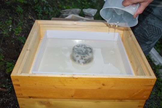 Imkerkontor-Froh Hagenow Titel 04 Bienenfutter